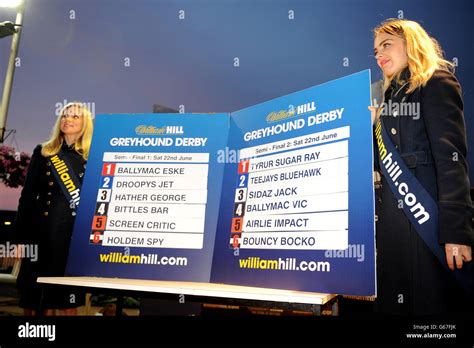 william hill greyhound results
